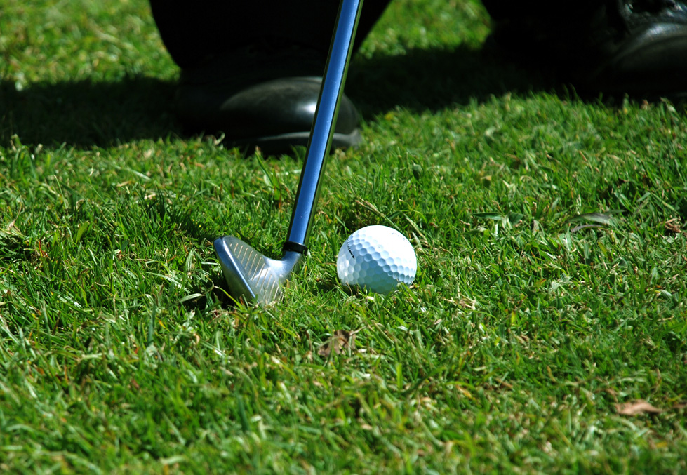 GolfDetailRes